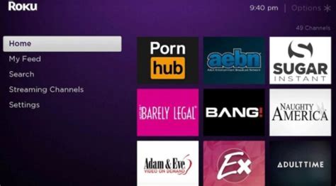 how to watch porn on my roku|The 7 Best Premium Porn Roku Channels (2024)